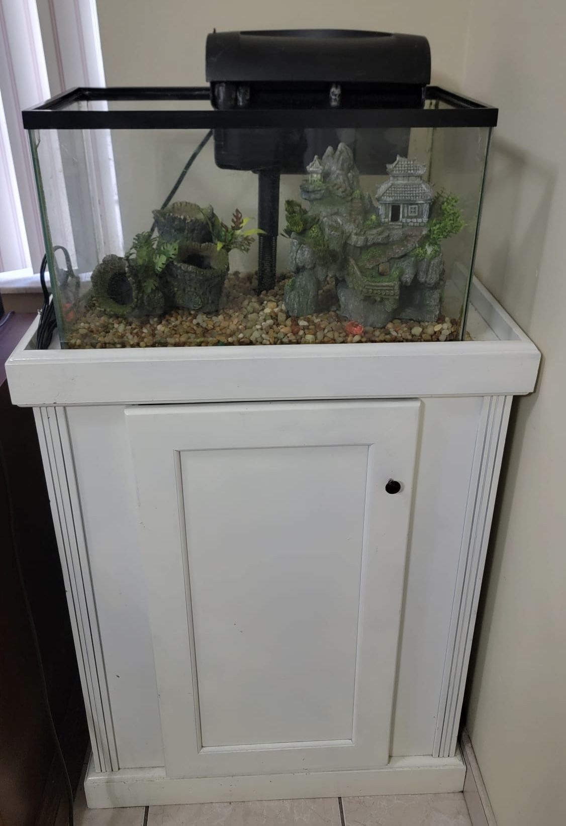 Aquarium with stand 