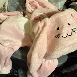 Easter Bunny And Basket 