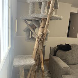 Shelf Cat Tree 