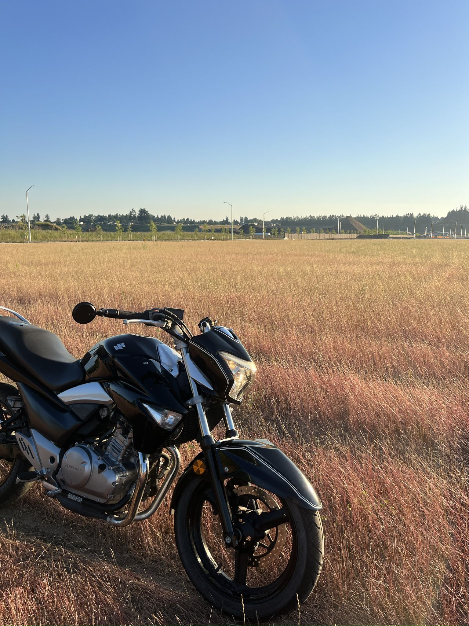 2013 Suzuki Gw250