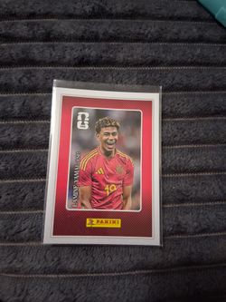 panini trading card