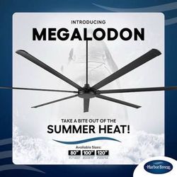 Large Ceiling Fan
