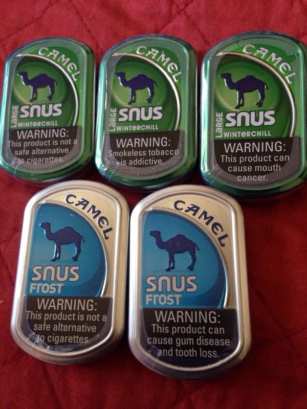Large camel snus tabaco