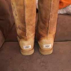 Ugg Boots 6 