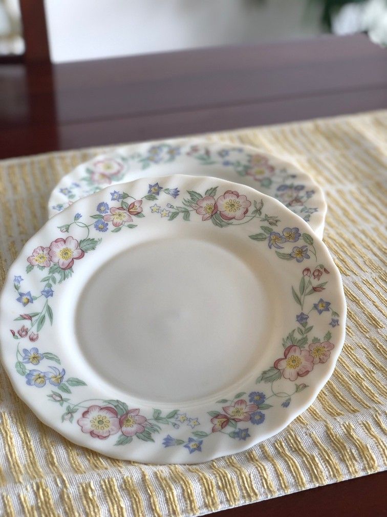 5 pc Vintage Arcopal Champetre Pattern Plates