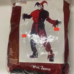 Costume.  Adult Large. New 