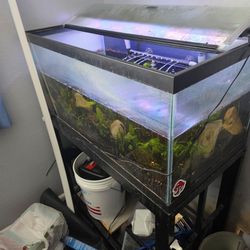 40 Gallon Aquarium Fish Tank with Light and  Metal Stand