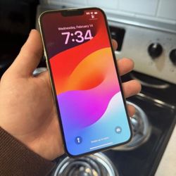 iPhone 13 Pro Max