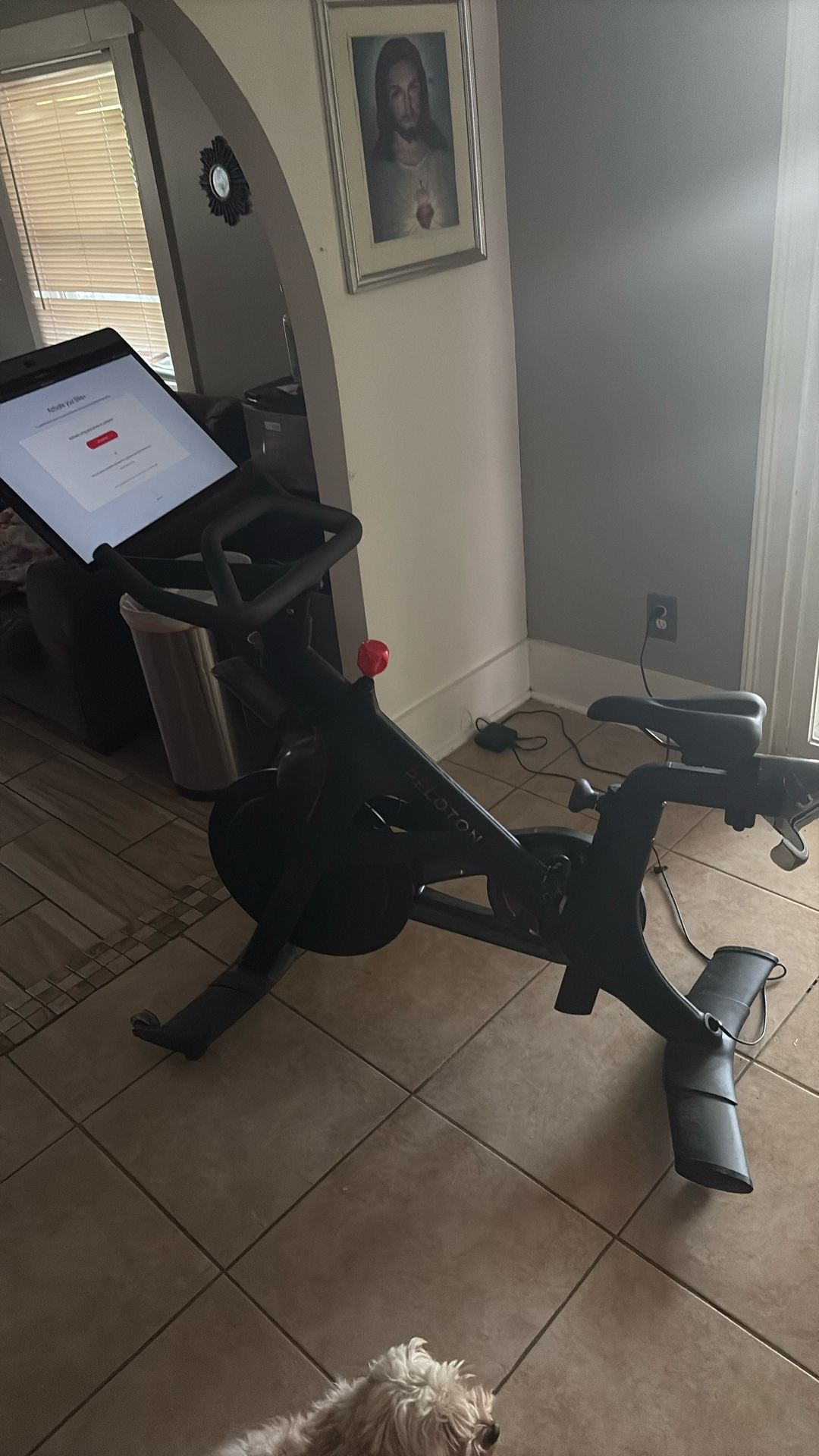 Peloton Bike