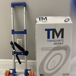 Mini Travelmate Car Seat Stroller For Toddler