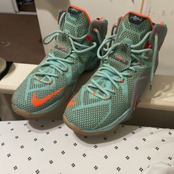 Nike Lebron 12 Nsrl