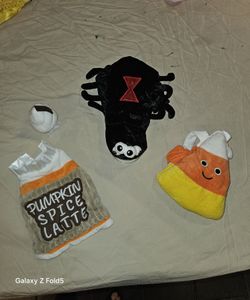 Animal Costume