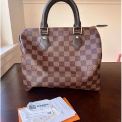 Louis Vuitton Speedy 25 Damier Ebene