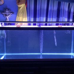 75 gallon tank with wood stand 