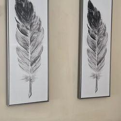 (2) Beautiful feather Decorative Wall Art Pieces 