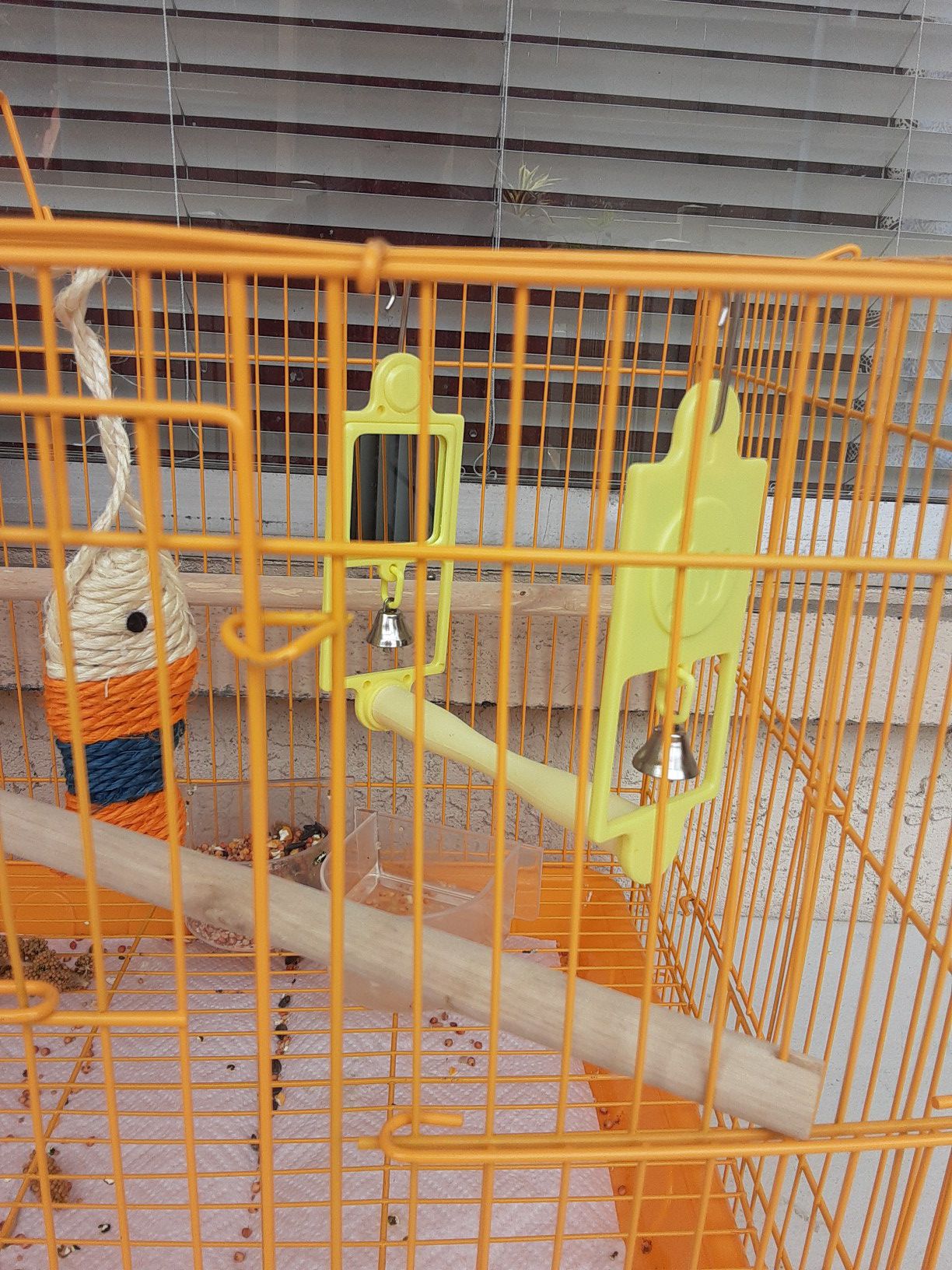 Bird cage with accessories, food, treats.