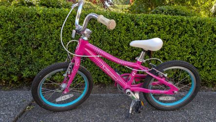 Guardian 16 inch kids bike