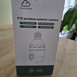 Two Wireless Network Cameras