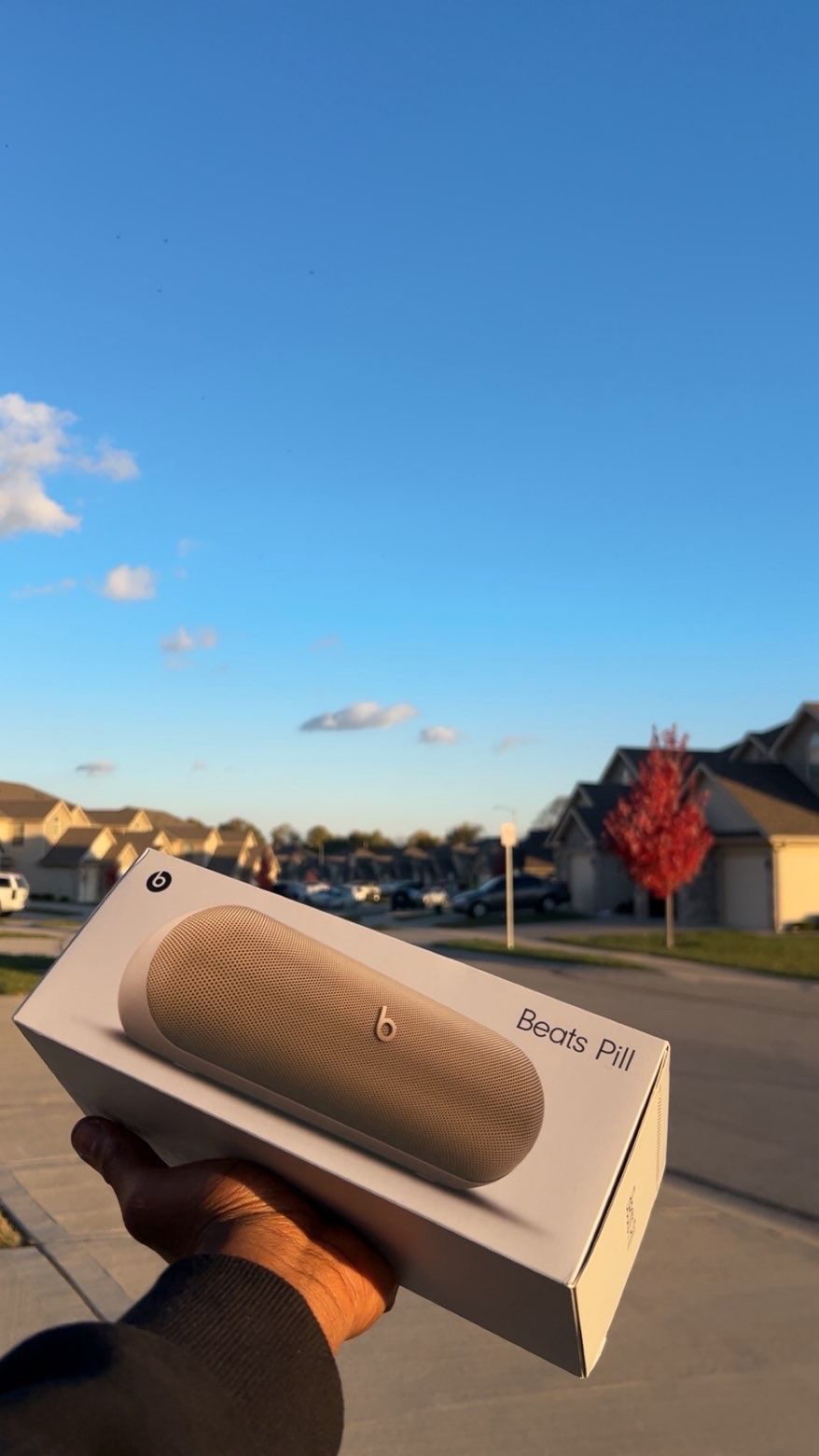 Beats Pill 