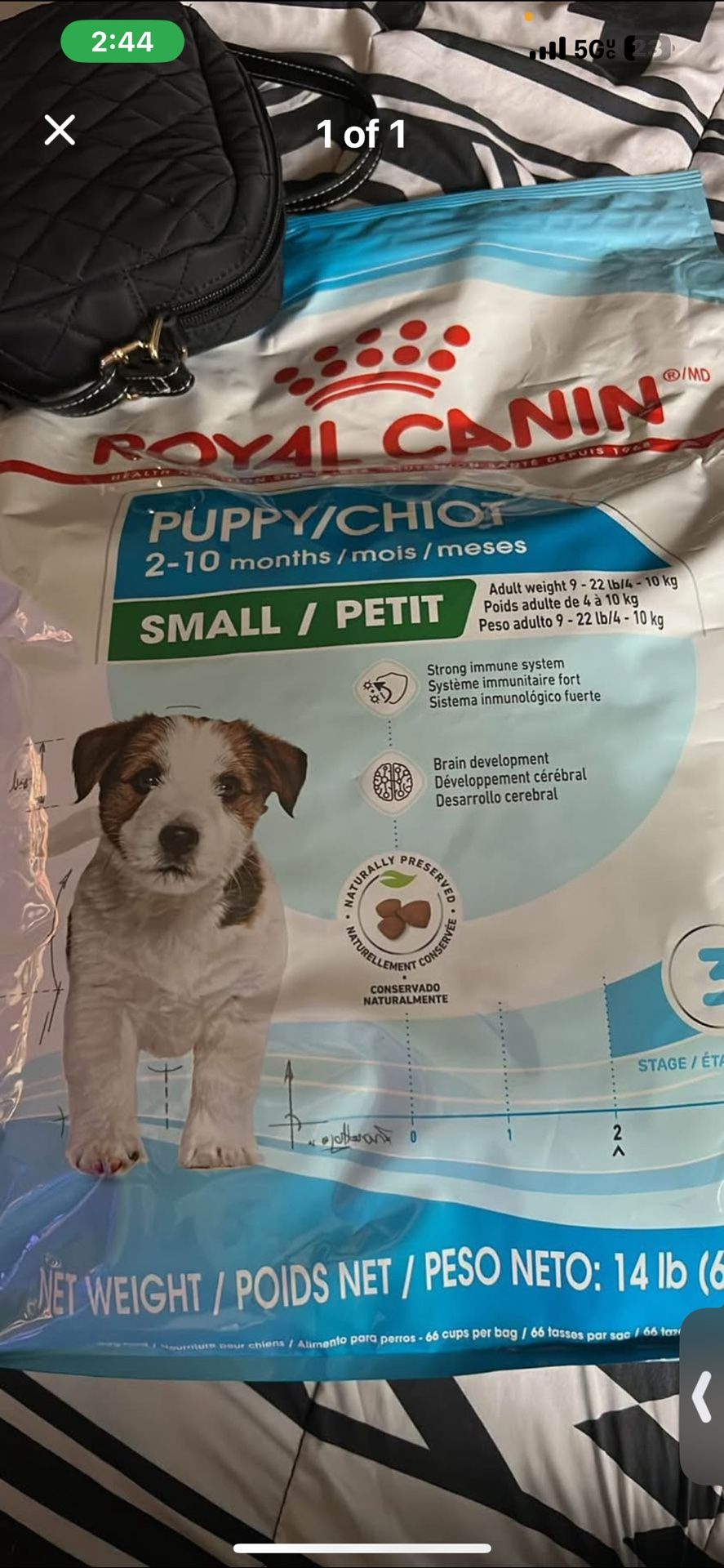 Puppy Food