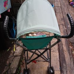 Mint Green Umbrella Stroller