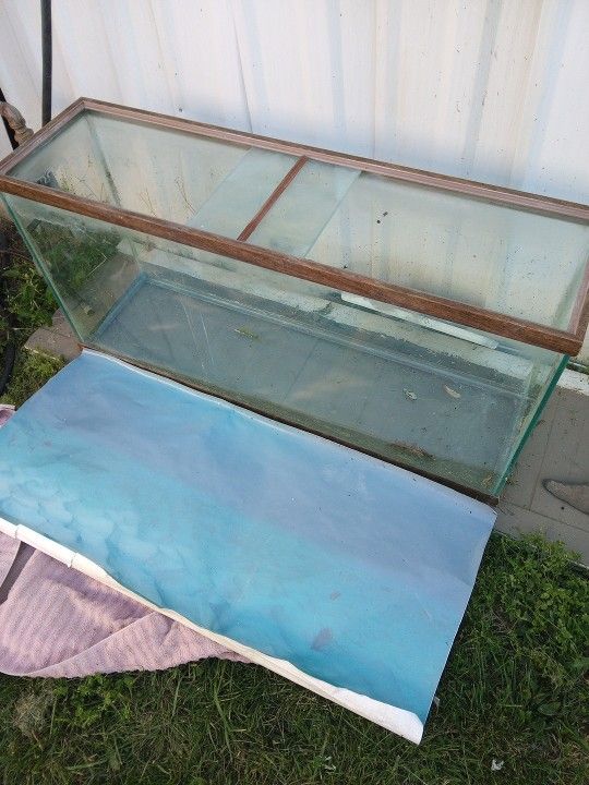 55 Gallon Tank