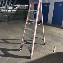 6 Foot Werner Ladder