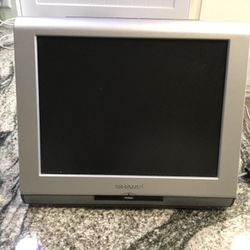 Portable Sharp 10 Inch Color TV