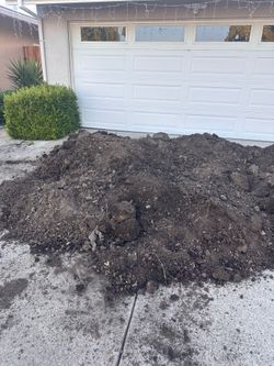 Free Soil