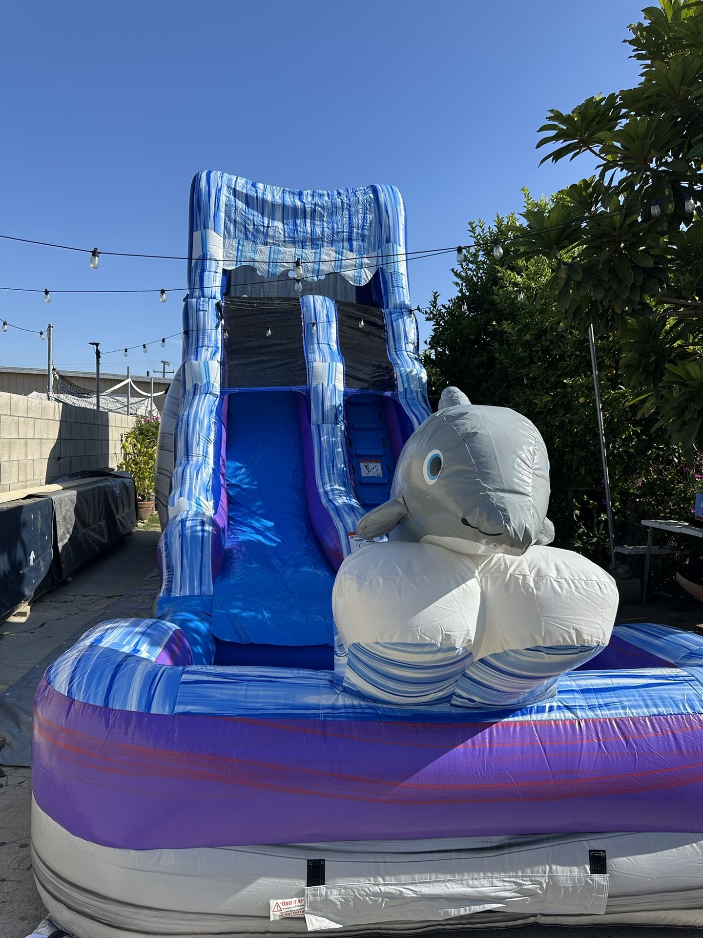 Water Jumper