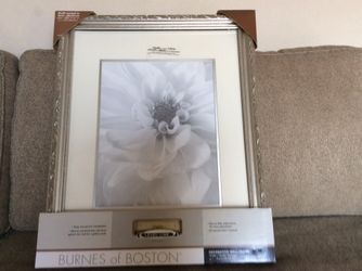 Beautiful Burnes of Boston Photo in a Decorative Wall Frame. Brand New.for $18