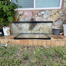 40 Gallon Fish Tank