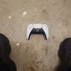 Ps5 Controller 