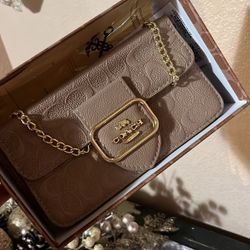 Brown Women Coach Bag