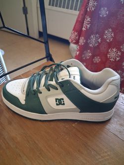 DC skater shoes