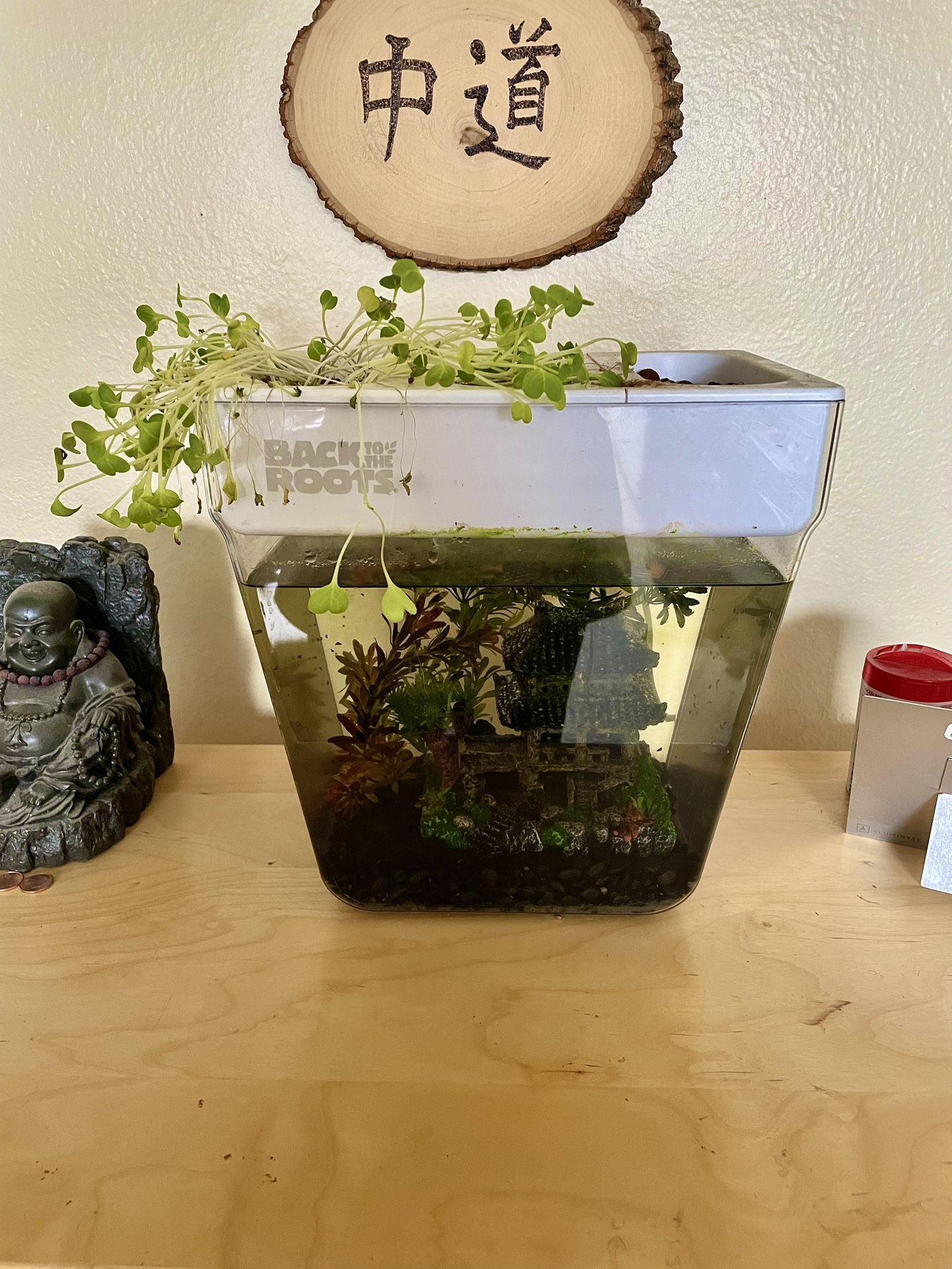 Hydroponic Fish Tank 