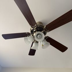 Ceiling fan with 4 Lights