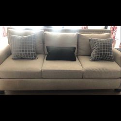 Comfy and Versatile Sofa & Loveseat Set (Arlington, TX Pickup)