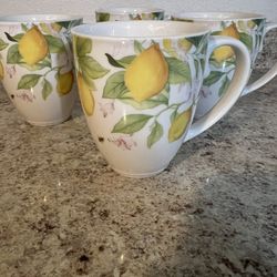 Tazas Princes House 
