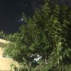 Rez Buz