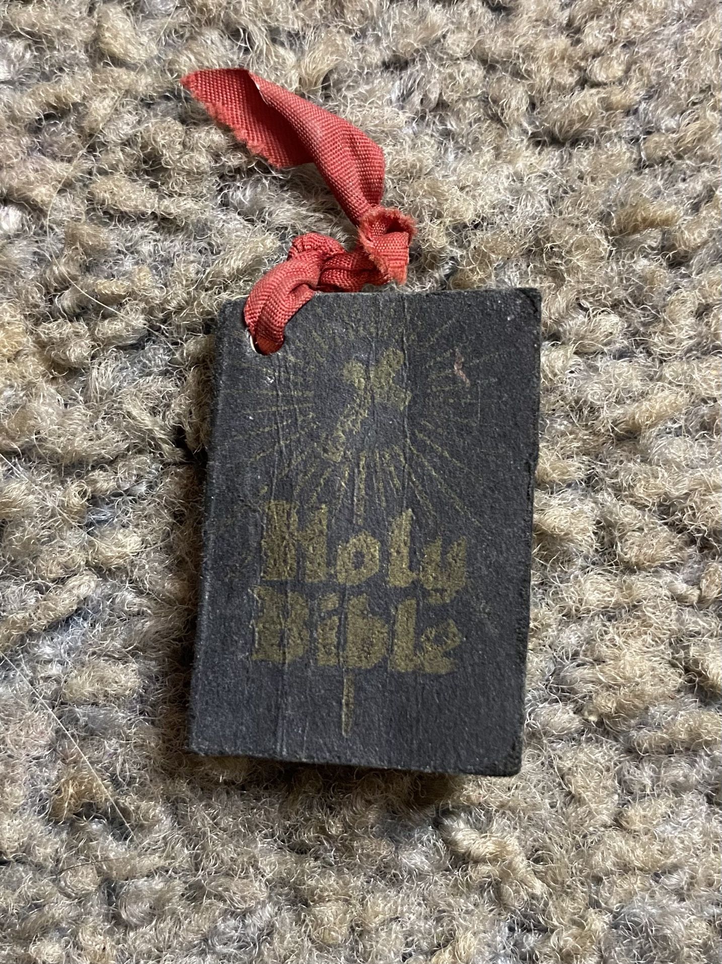 Vintage mini Bible