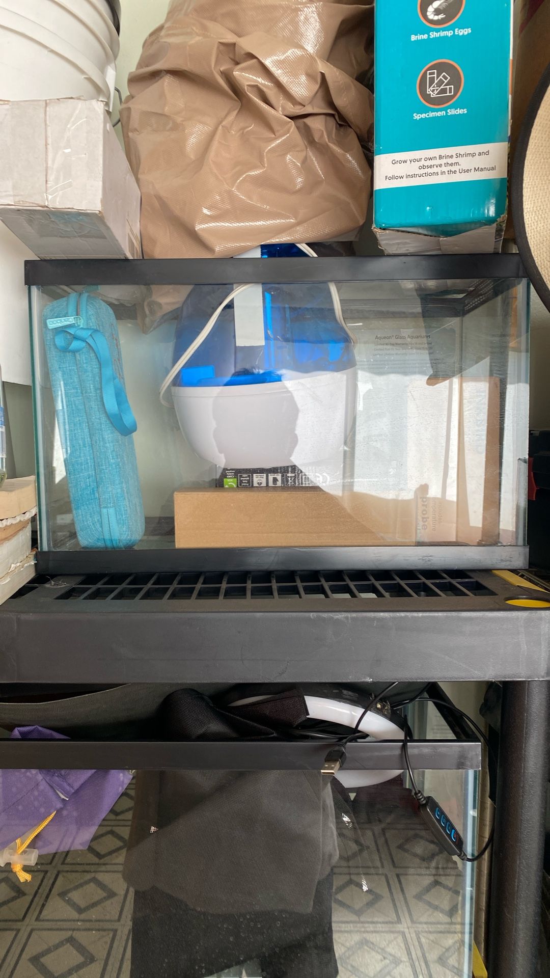 10 gallon fish tank