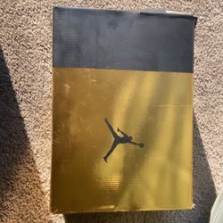 Jordan 6 Retro 'Defining Moments' 