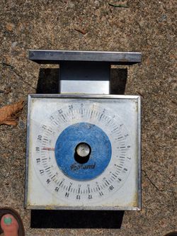 Vintage Edlund Scale