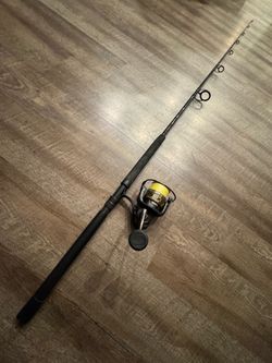 ‼️Penn Battle 8000 salt water fishing combo