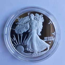 2022 american silver eagle proof  (W)