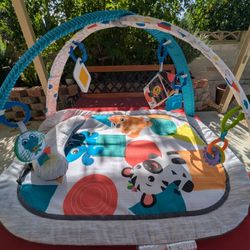 Baby Einstein Play Gym