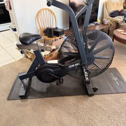 Rogue Assault Bike And Rogue Rower 