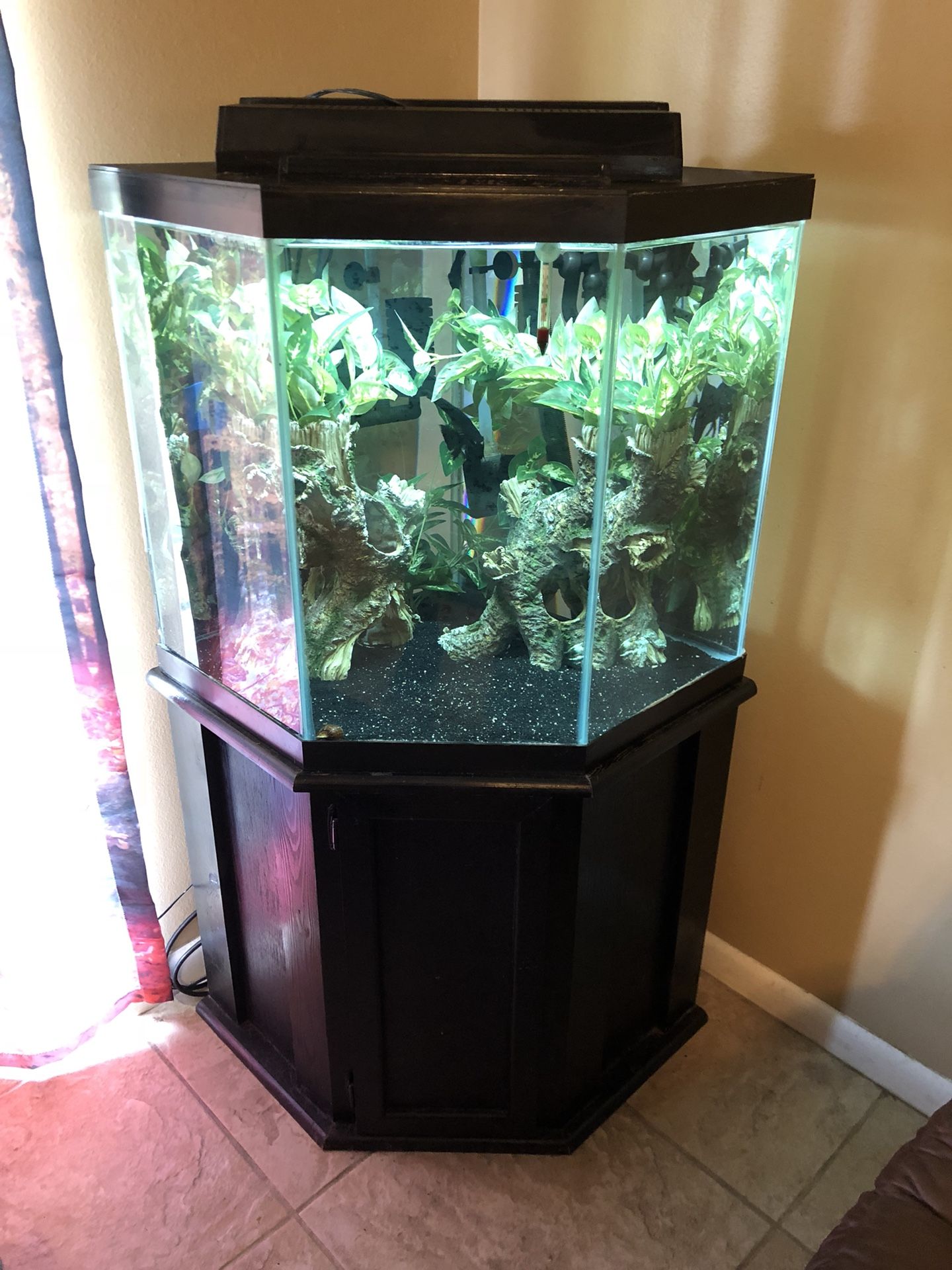44 gallon corner aquarium fish tank, filter, and stand