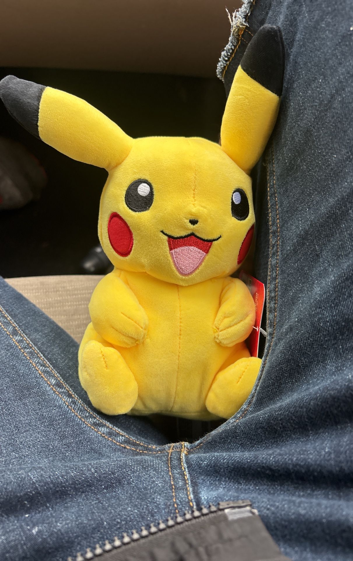 Pikachu Pokémon Plush